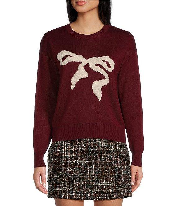 Evolutionary Long Sleeve Crew Neck Ribbon Pullover Sweater Product Image