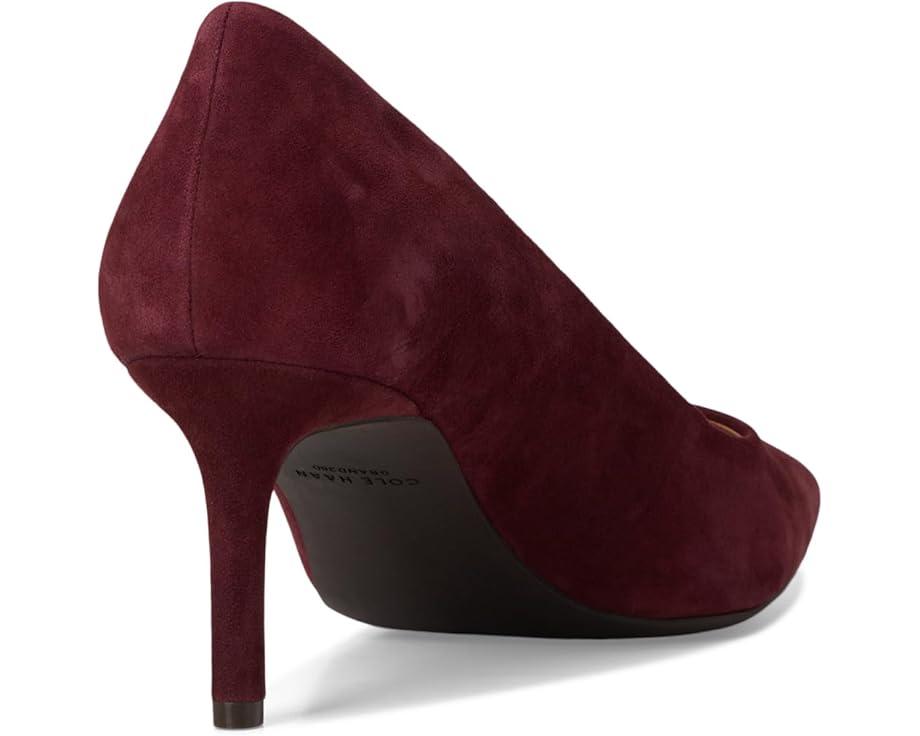 Vivica Pointed Toe Pumps Product Image