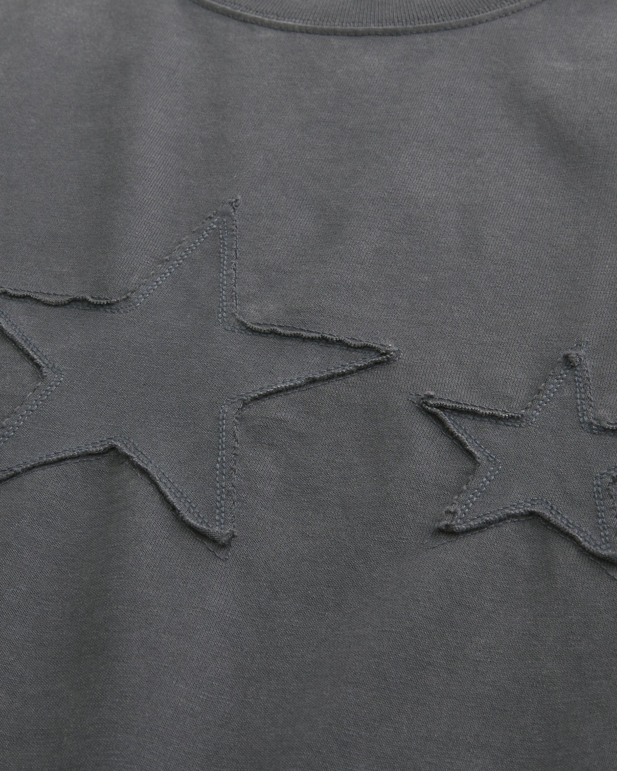 Boxy Heavyweight Star Graphic Tee Product Image