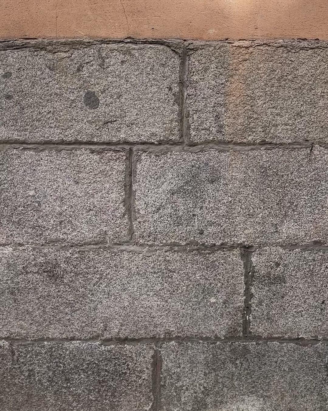 Standard Pleated Pant In Flax Linen Product Image