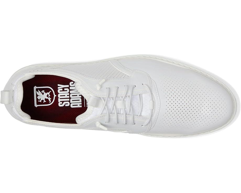 Edgewood Wing Tip Elastic Lace Product Image