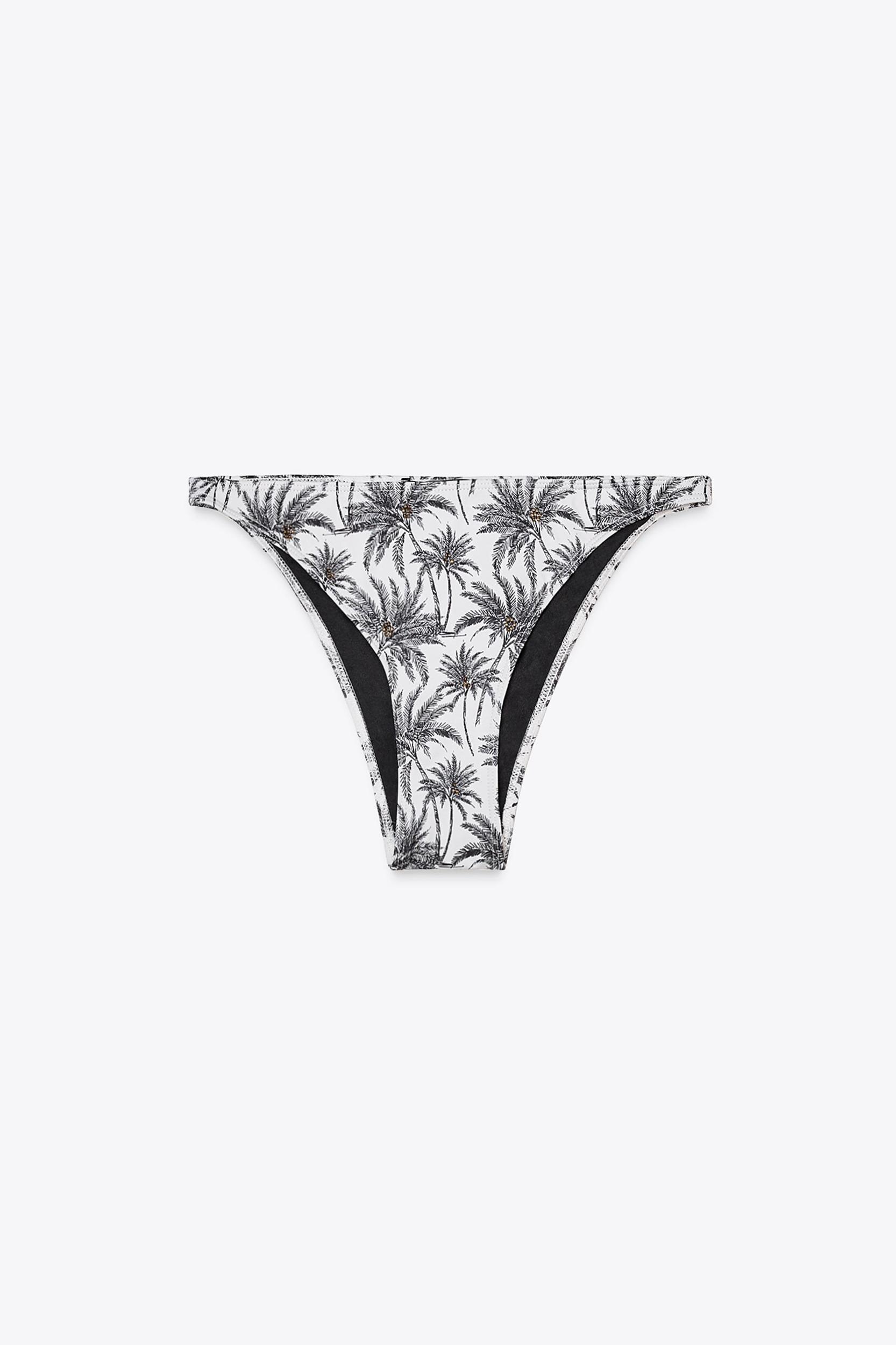 PALM TREE PRINT BIKINI BOTTOMS Product Image