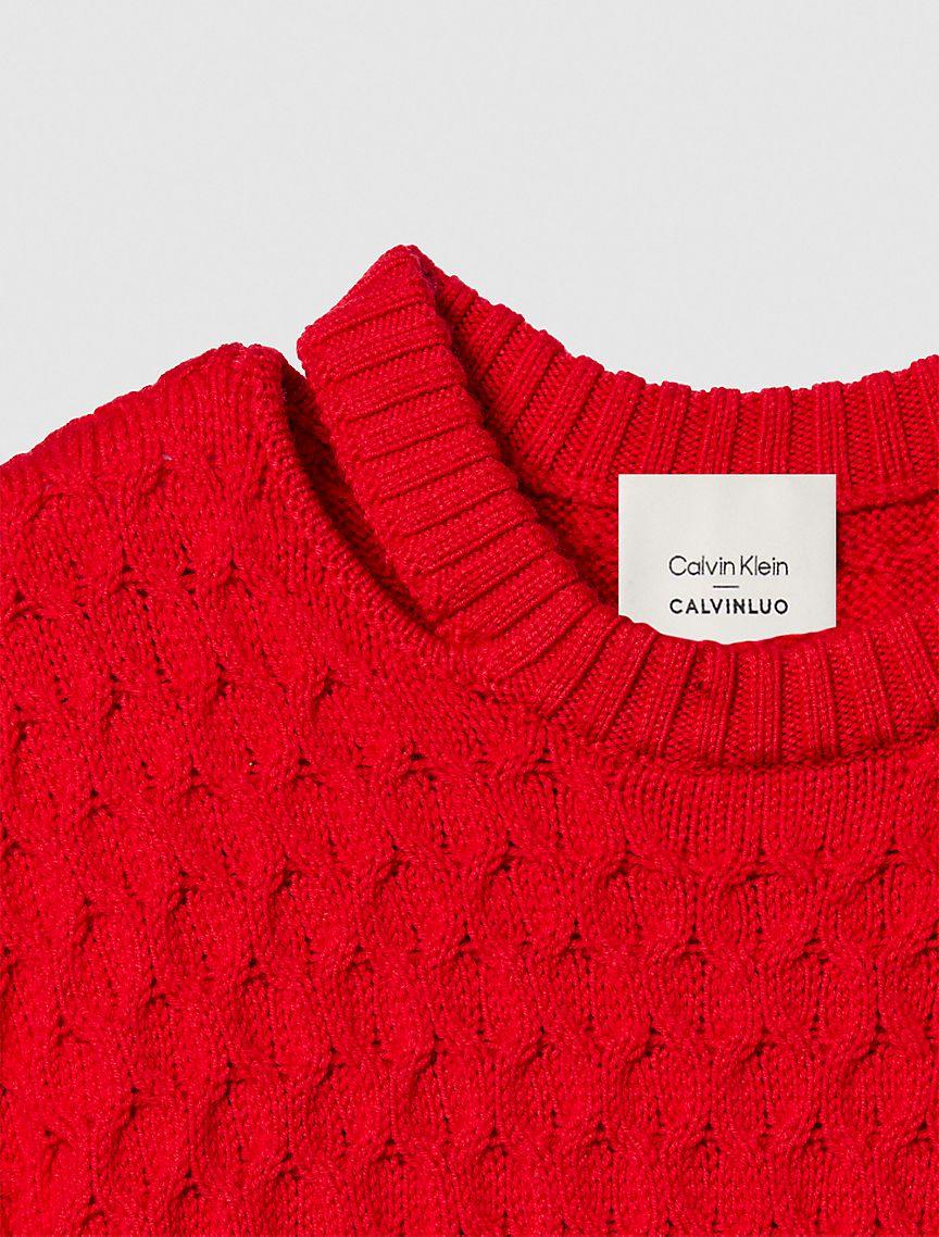 Merino Wool Cable Knit Relaxed Crewneck Sweater Product Image