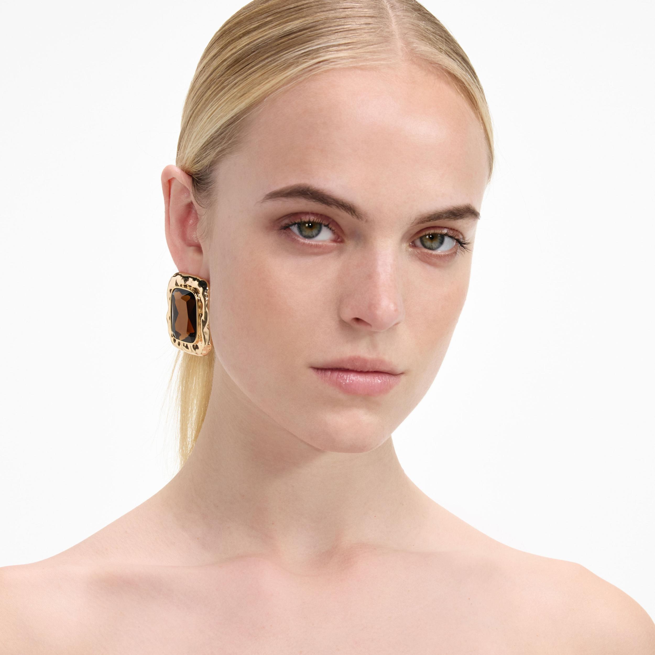 Mottled Gold Amber Earrings Product Image