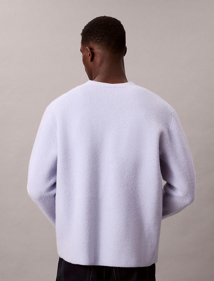 Merino Wool Relaxed V-Neck Sweater Product Image