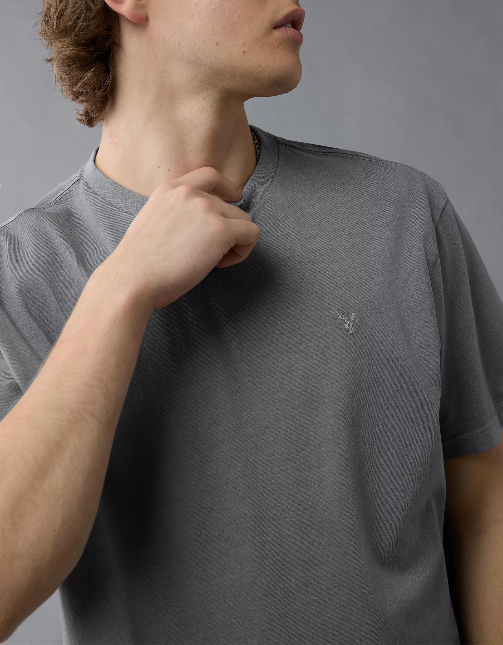 AE Logo Lived-In T-Shirt Product Image