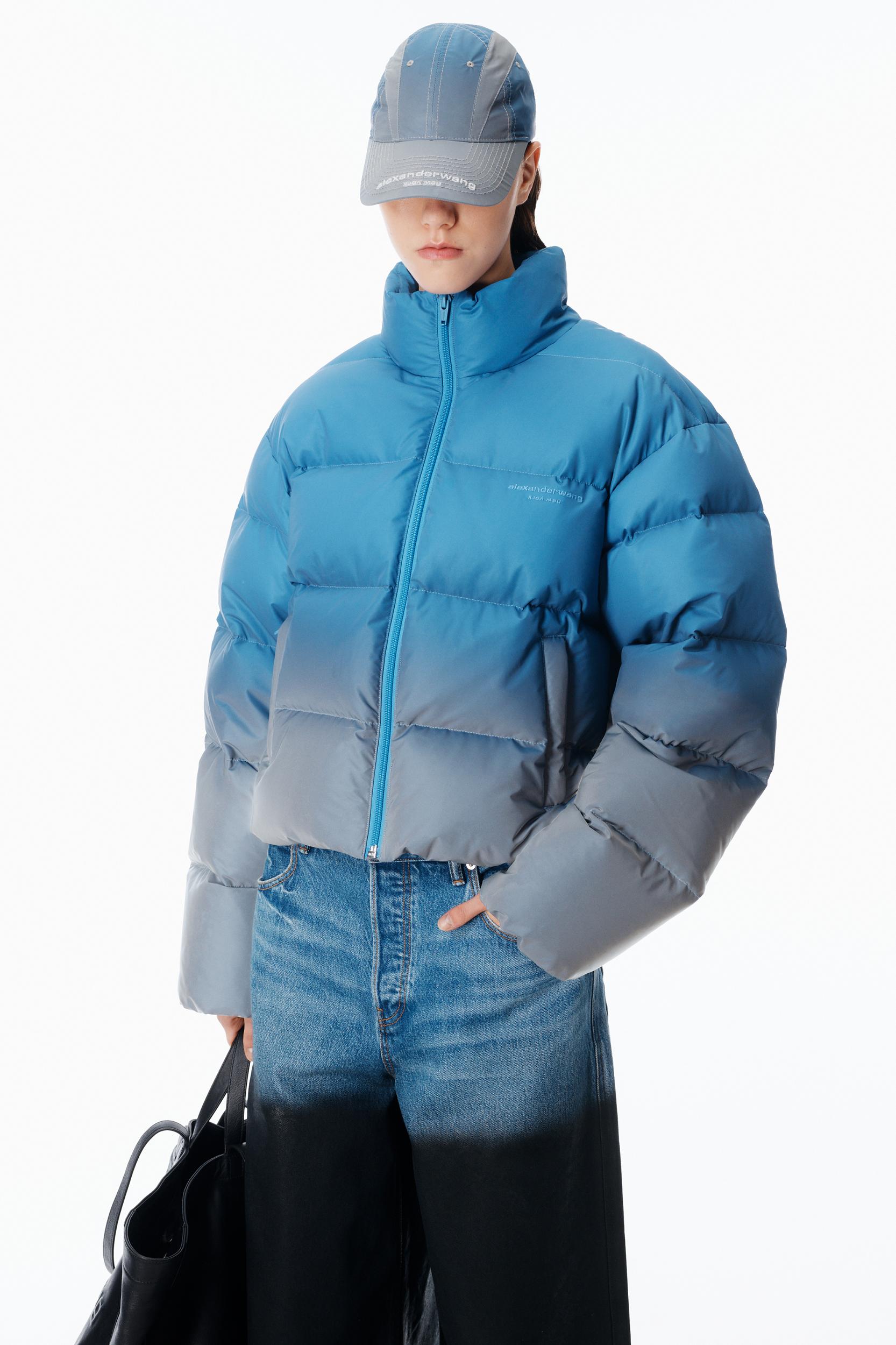Reflective Cropped Puffer  Product Image