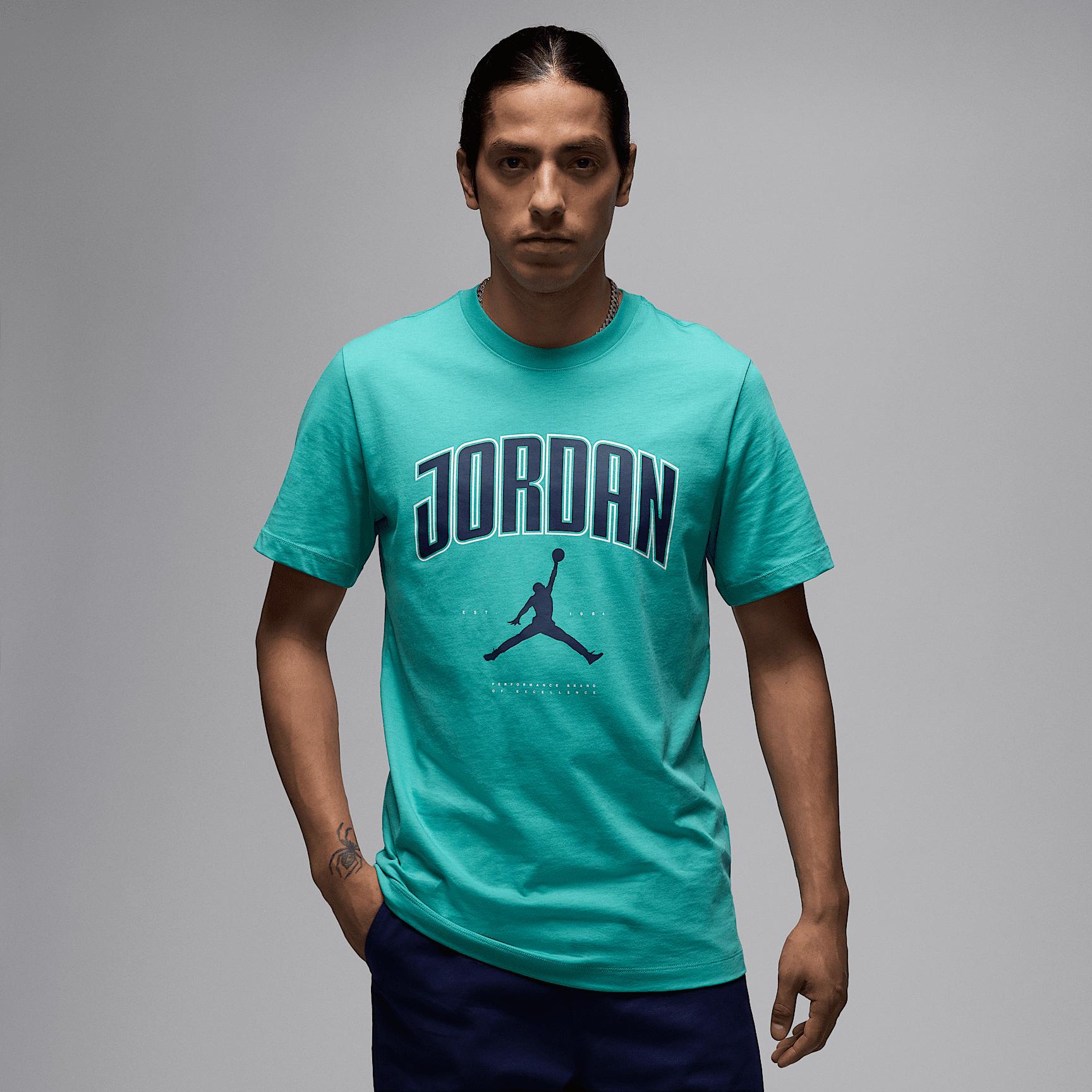 Mens Jordan T-shirt | HQ0009-392 Product Image