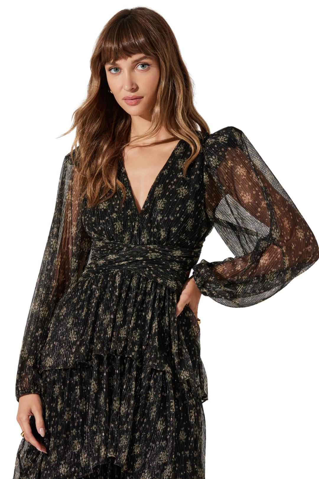 Anora Maxi Dress Product Image