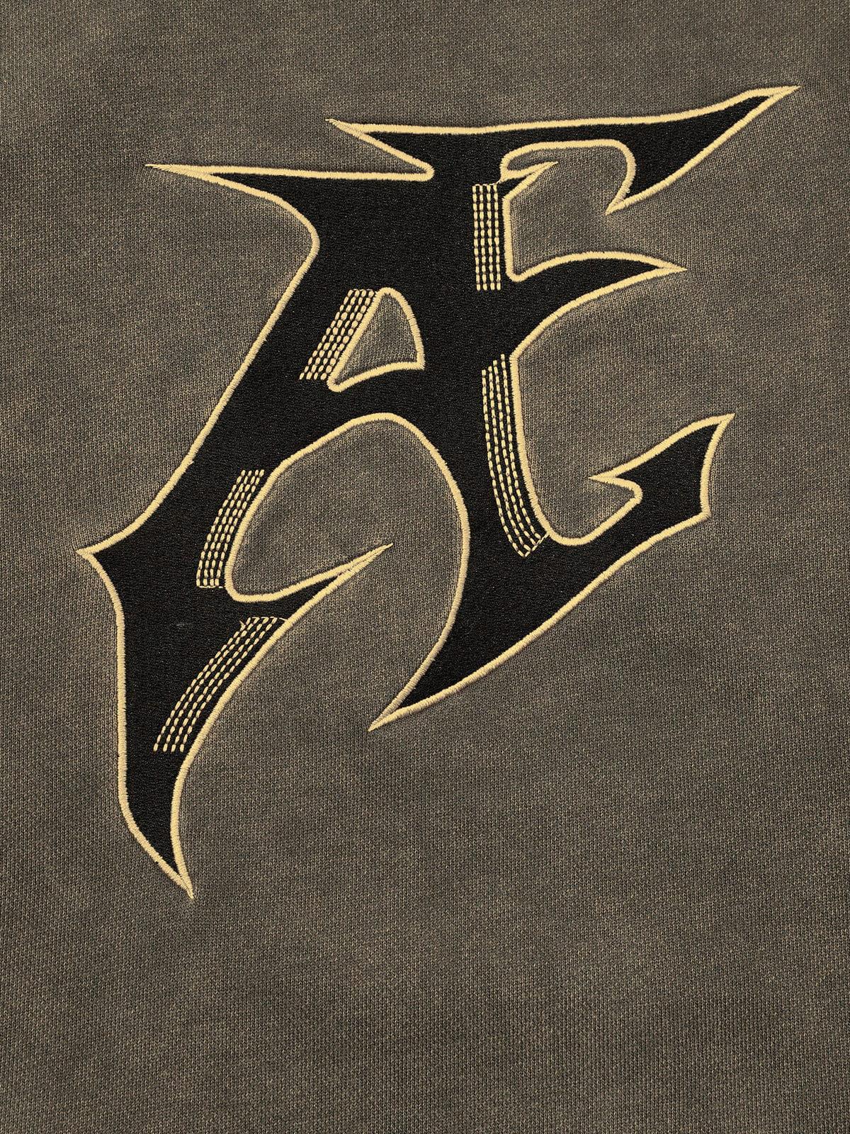 Aelfric Eden Embroidery Washed Pullover Hoodie Product Image