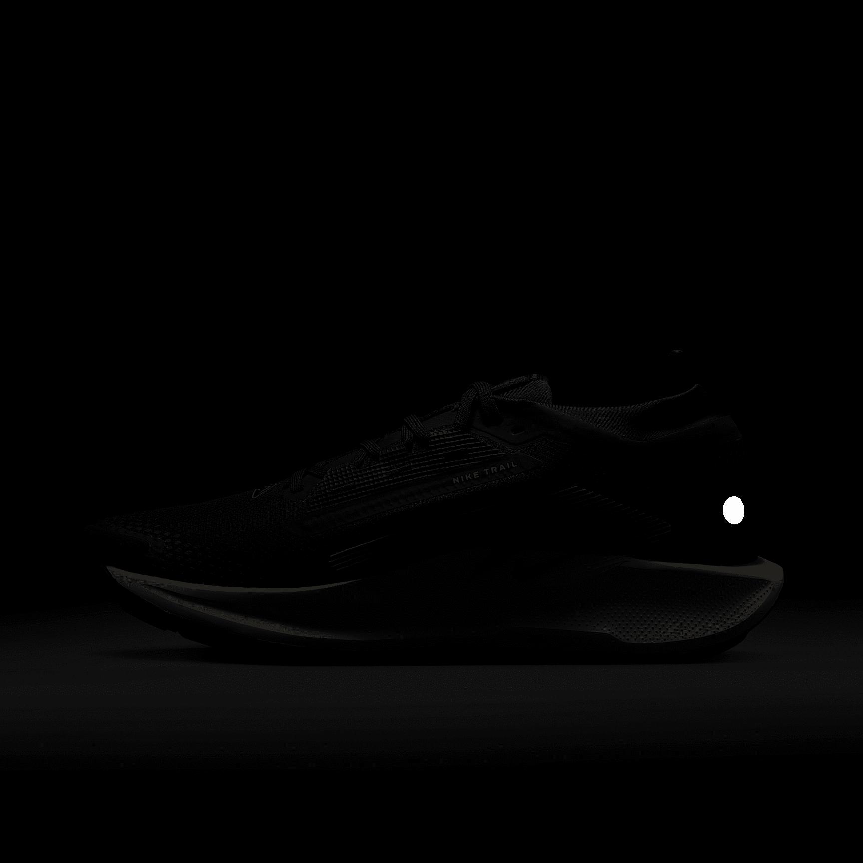 Nike Men's Pegasus Trail 5 GORE-TEX Waterproof Trail Running Shoes Product Image