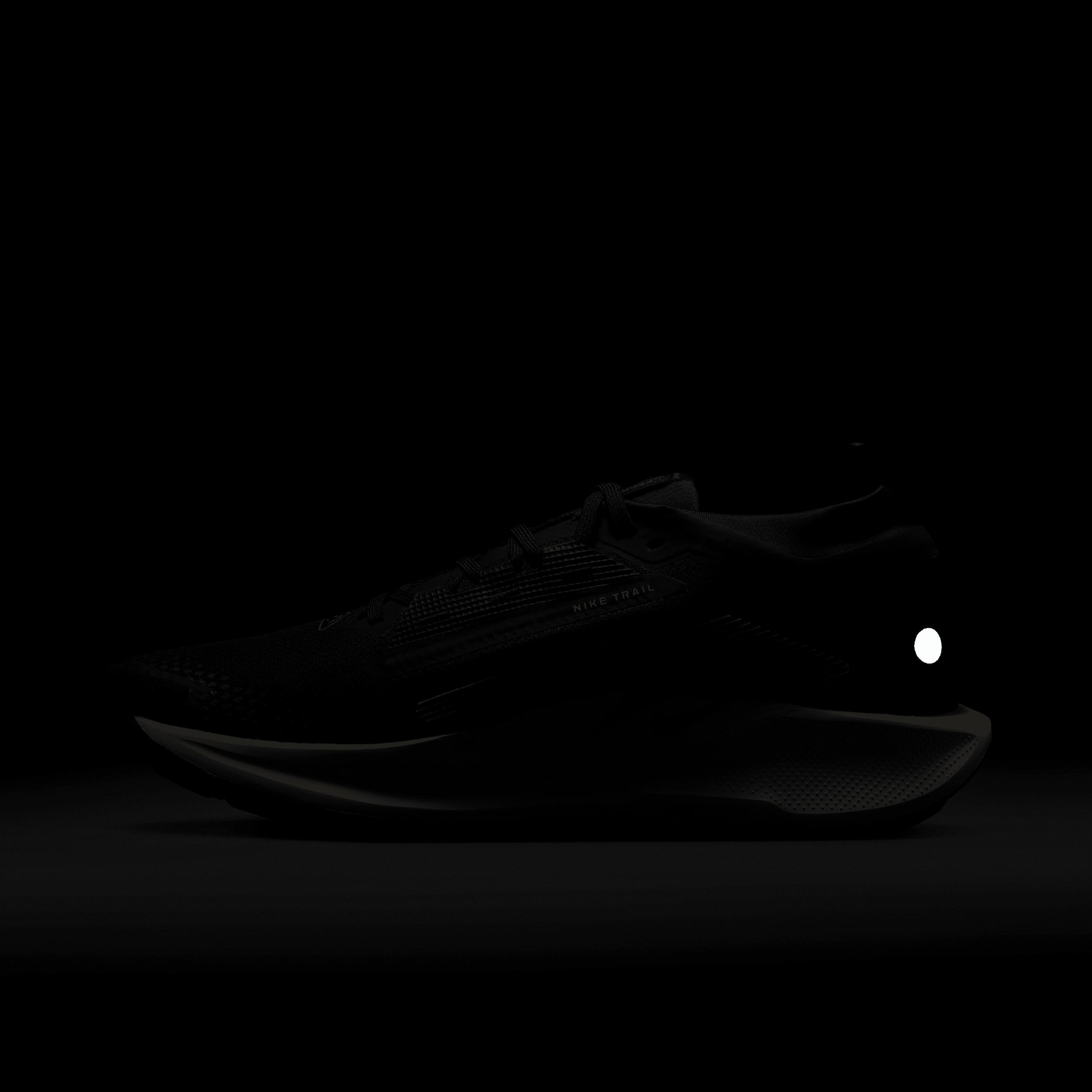 Nike Men's Pegasus Trail 5 GORE-TEX Waterproof Trail Running Shoes Product Image