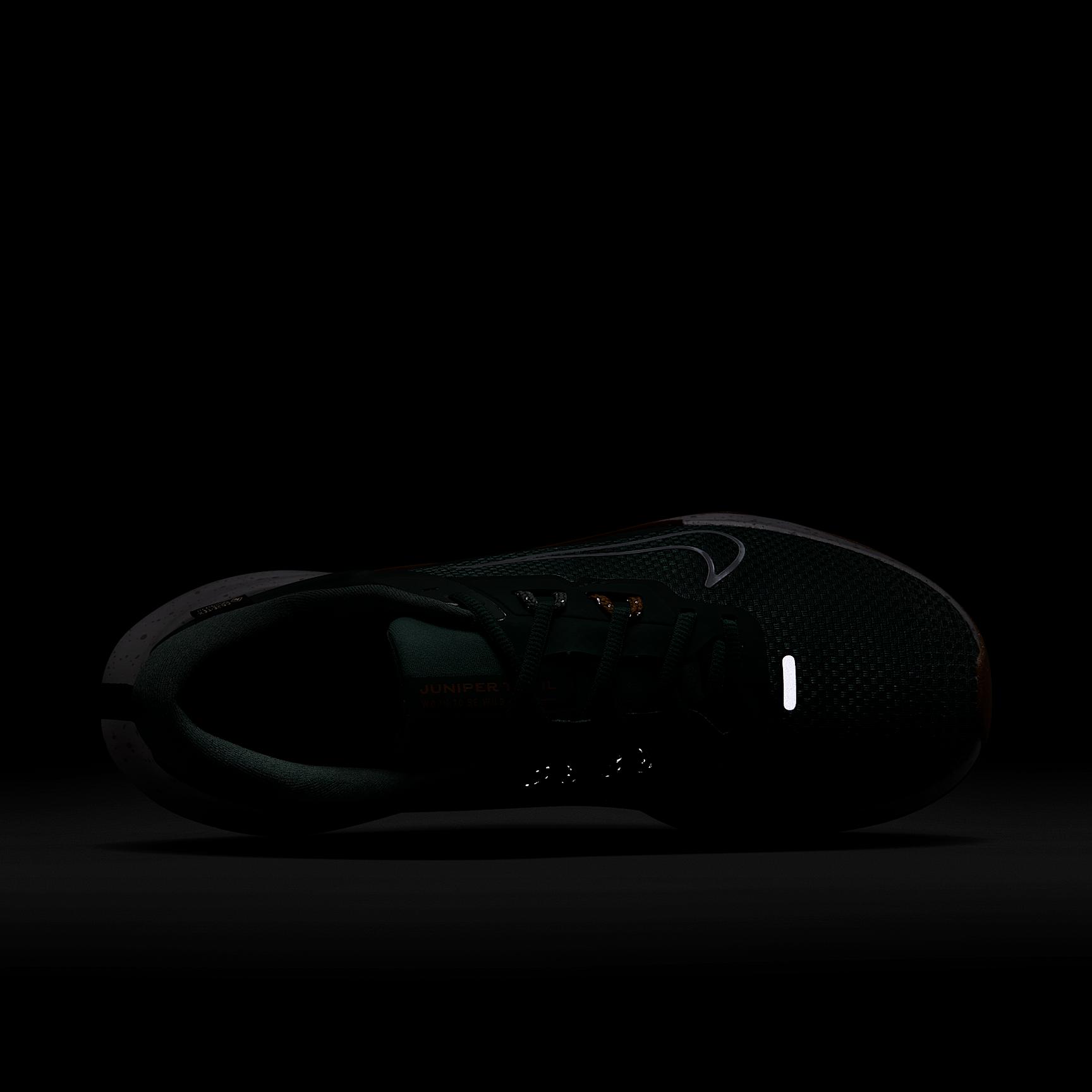 Nike Mens Juniper Trail 2 GORE-TEX Waterproof Trail Running Shoes | HM9734-301 Product Image