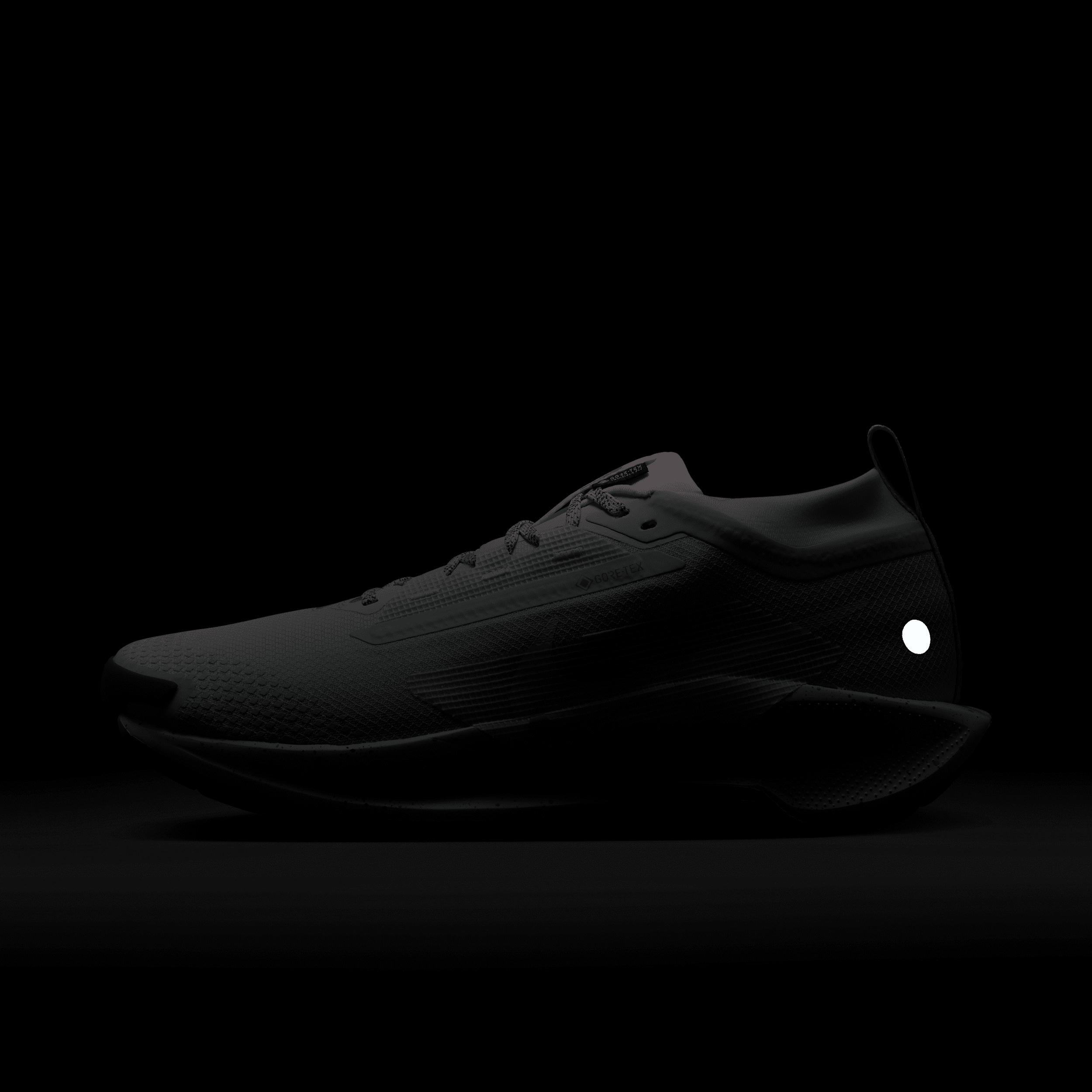 Nike Mens Pegasus Trail 5 GORE-TEX Waterproof Trail Running Shoes | FQ0908-009 Product Image