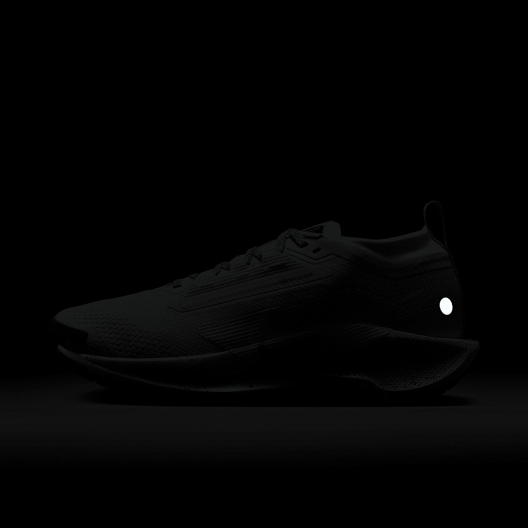 Nike Womens Pegasus Trail 5 GORE-TEX Waterproof Trail Running Shoes | FQ0912-007 Product Image