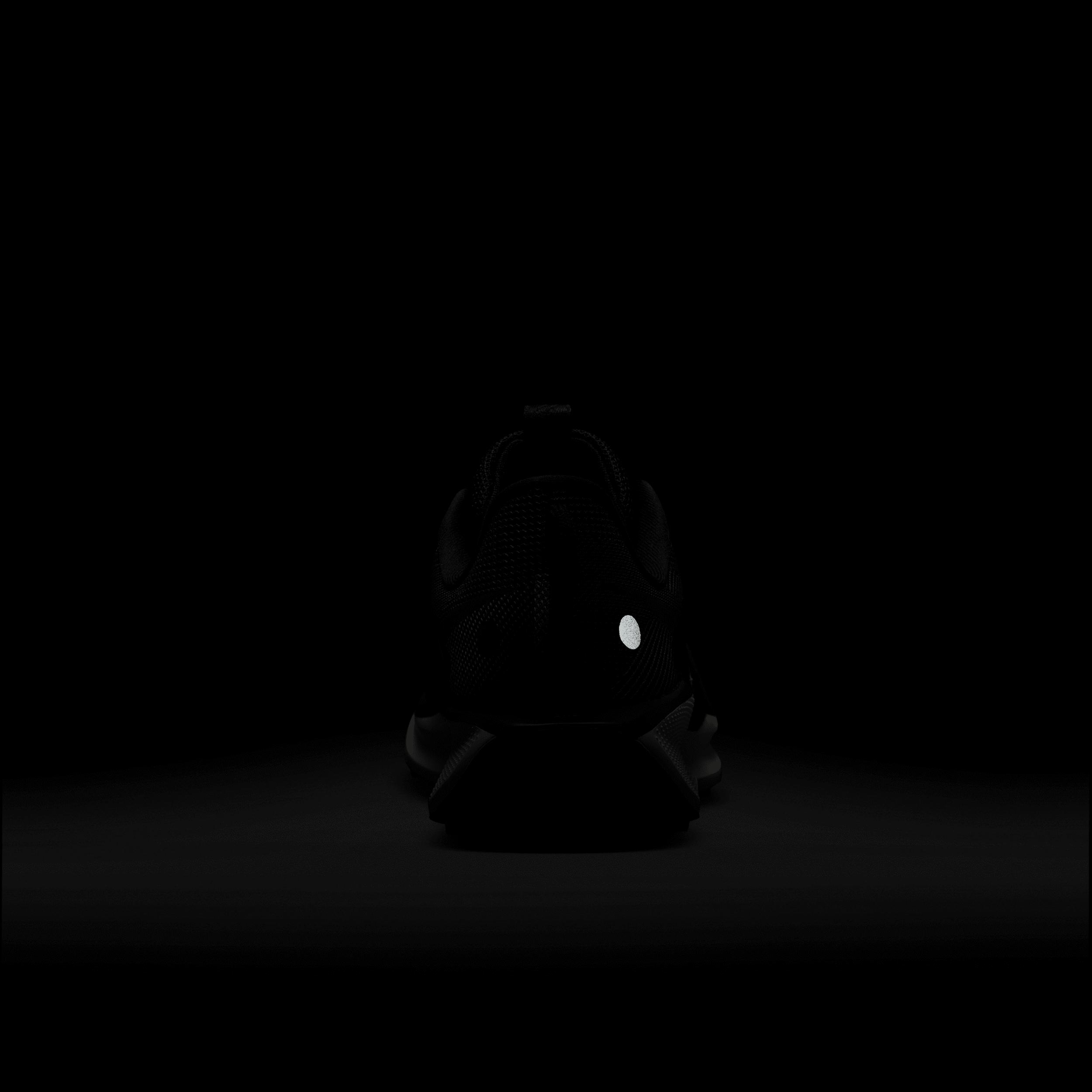 Nike Women's Pegasus Trail 5 Trail Running Shoes Product Image