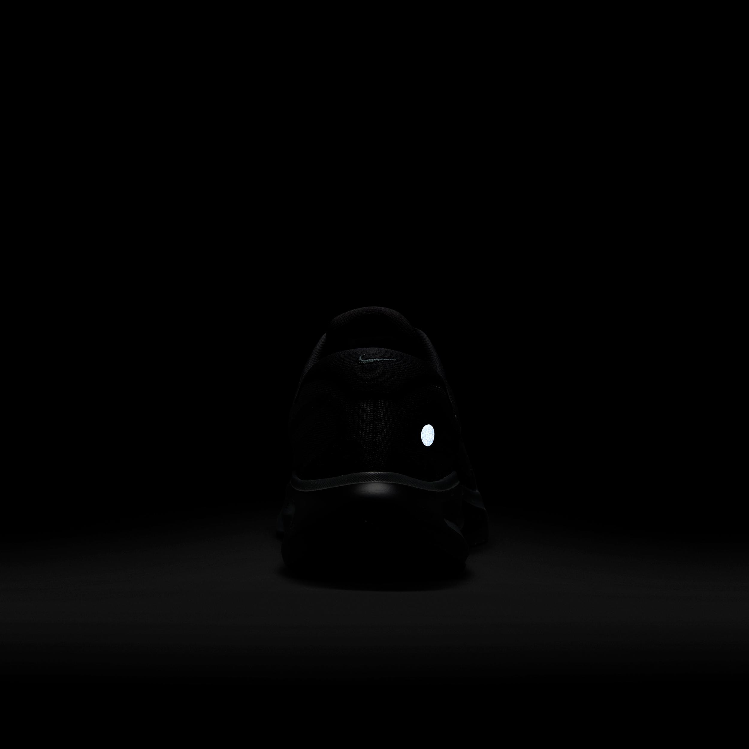 Nike Womens AL Shoes | FJ3794-002 Product Image