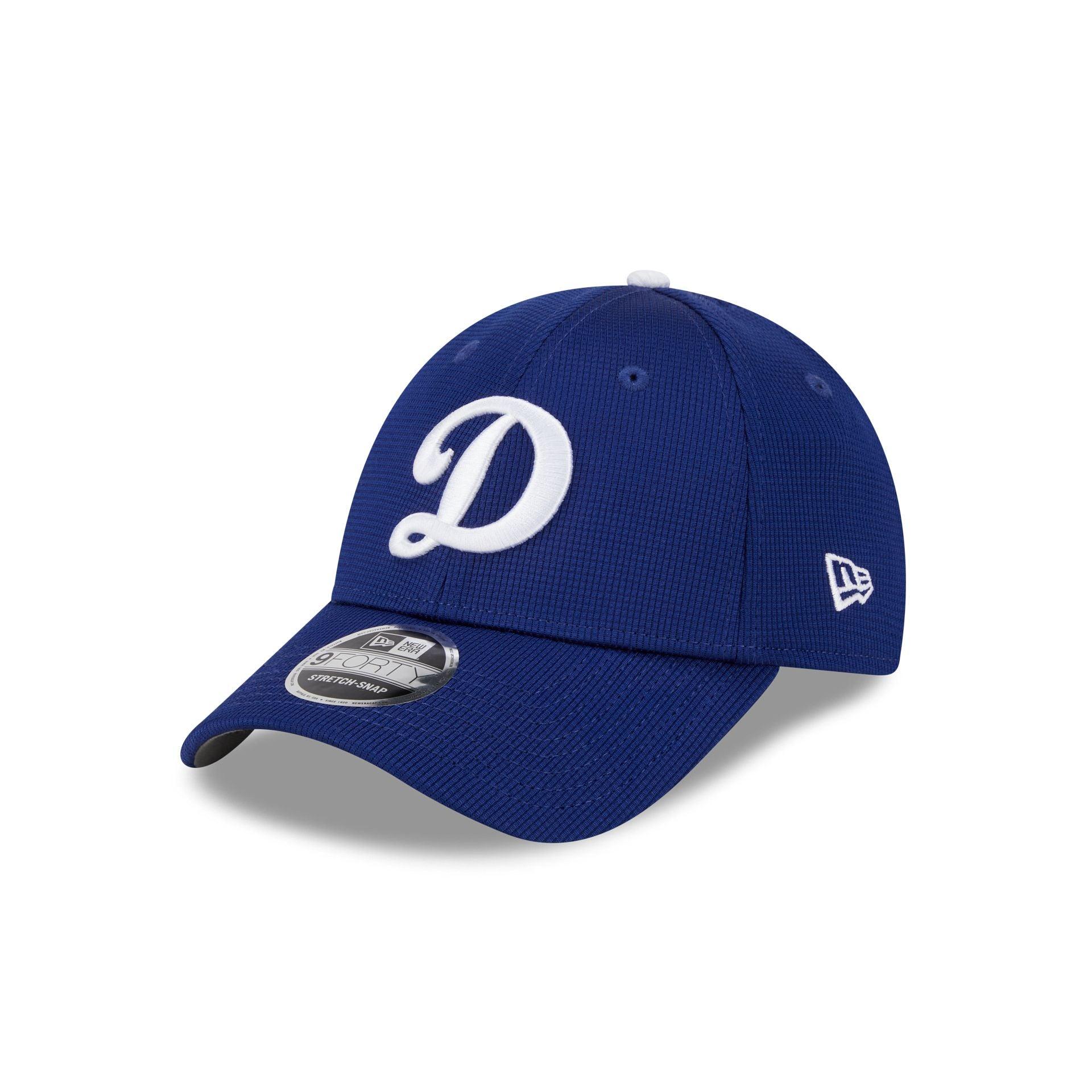 Los Angeles Dodgers 2025 Batting Practice Blue 9FORTY Stretch-Snap Hat Male Product Image