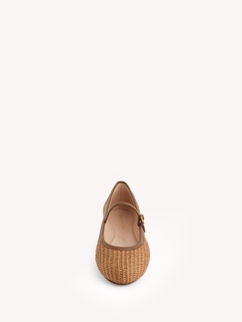 Carla raffia ballet pumps Product Image