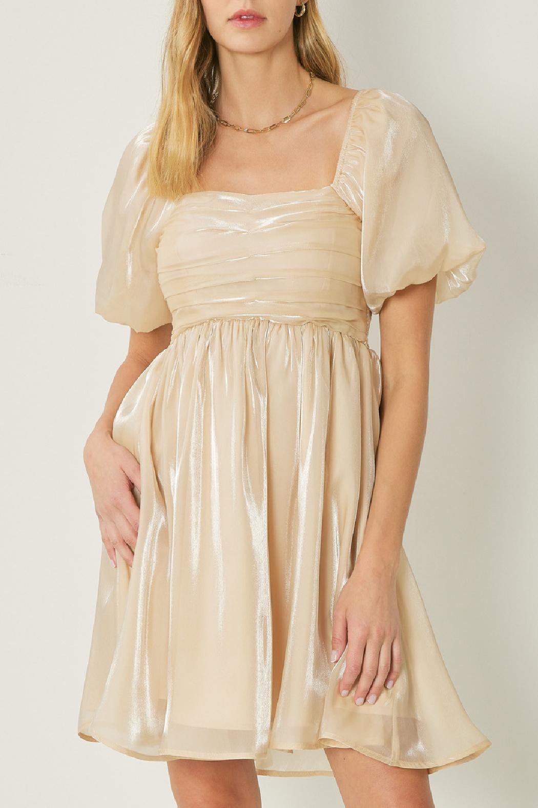 Organza Bubble Sleeve Dress Product Image