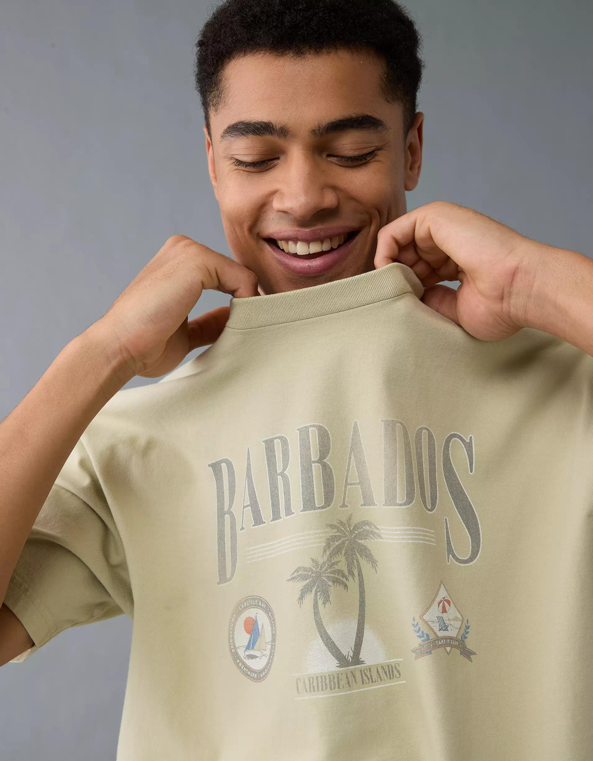 AE Boxy Destination Graphic T-Shirt Product Image