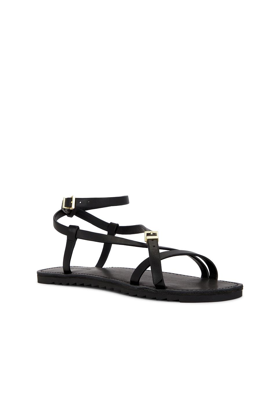 Tyla Sandal ALLSAINTS Product Image