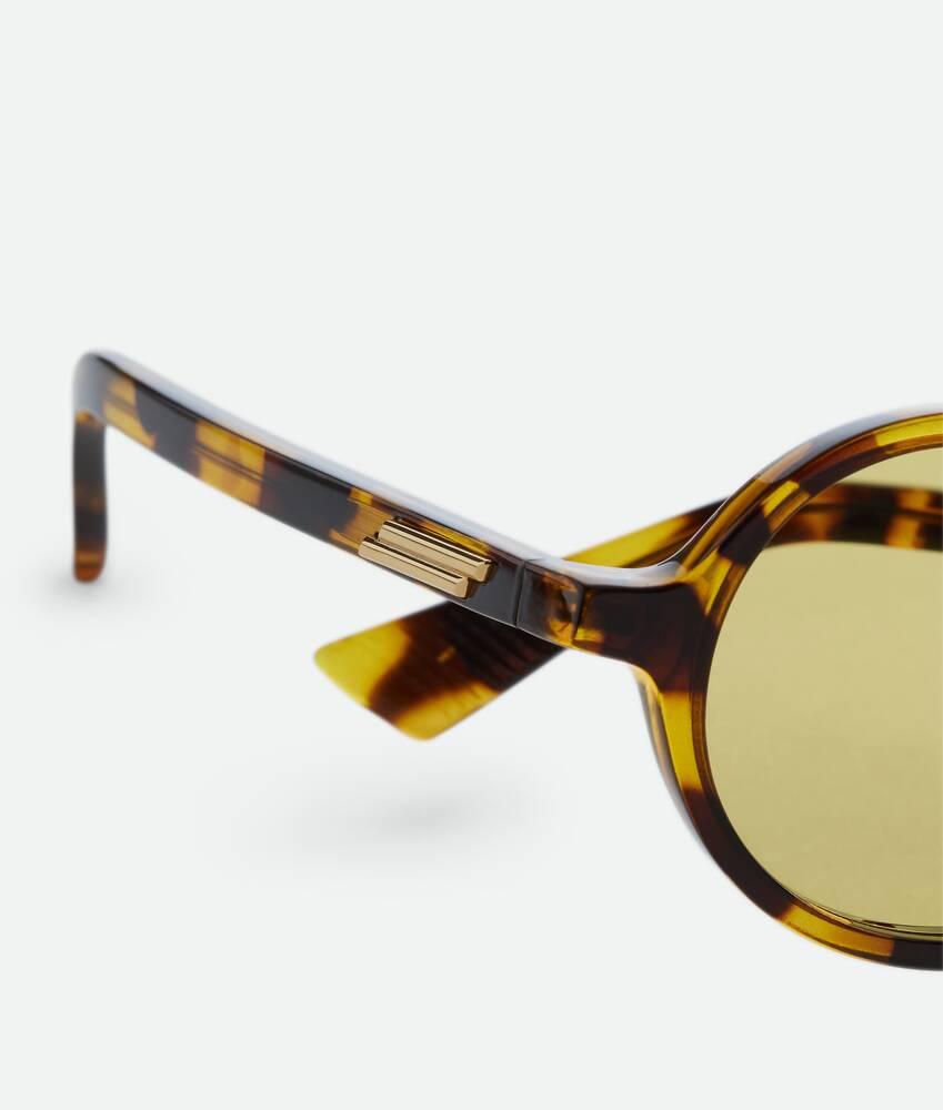 Classic Round Sunglasses in Havana/yellow Product Image