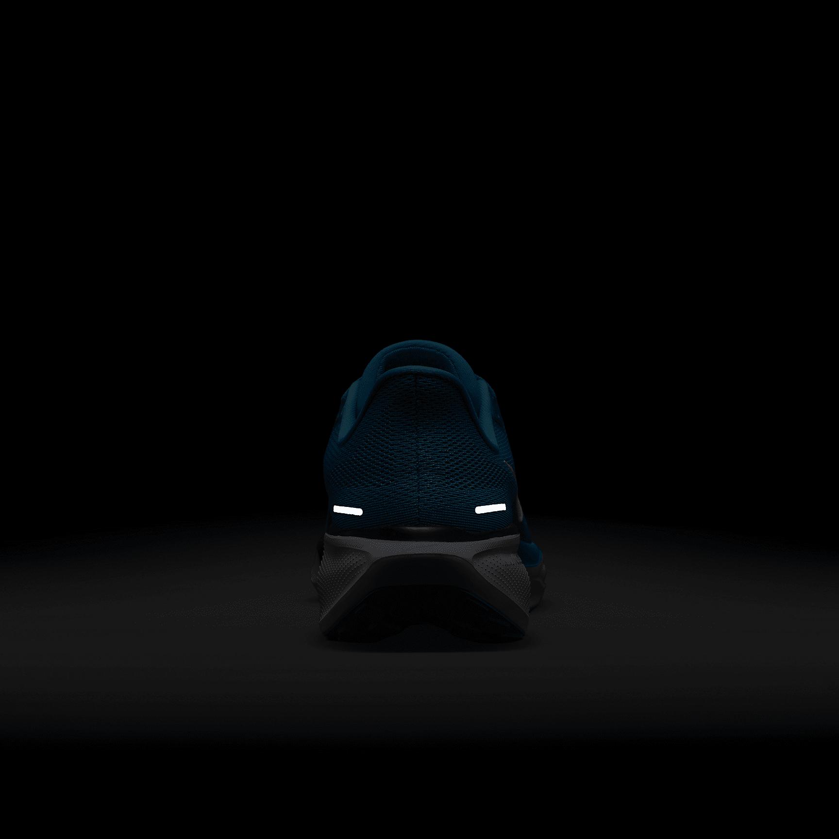 Nike Pegasus 41 NFL Carolina Panthers Men's Road Running Shoes Product Image