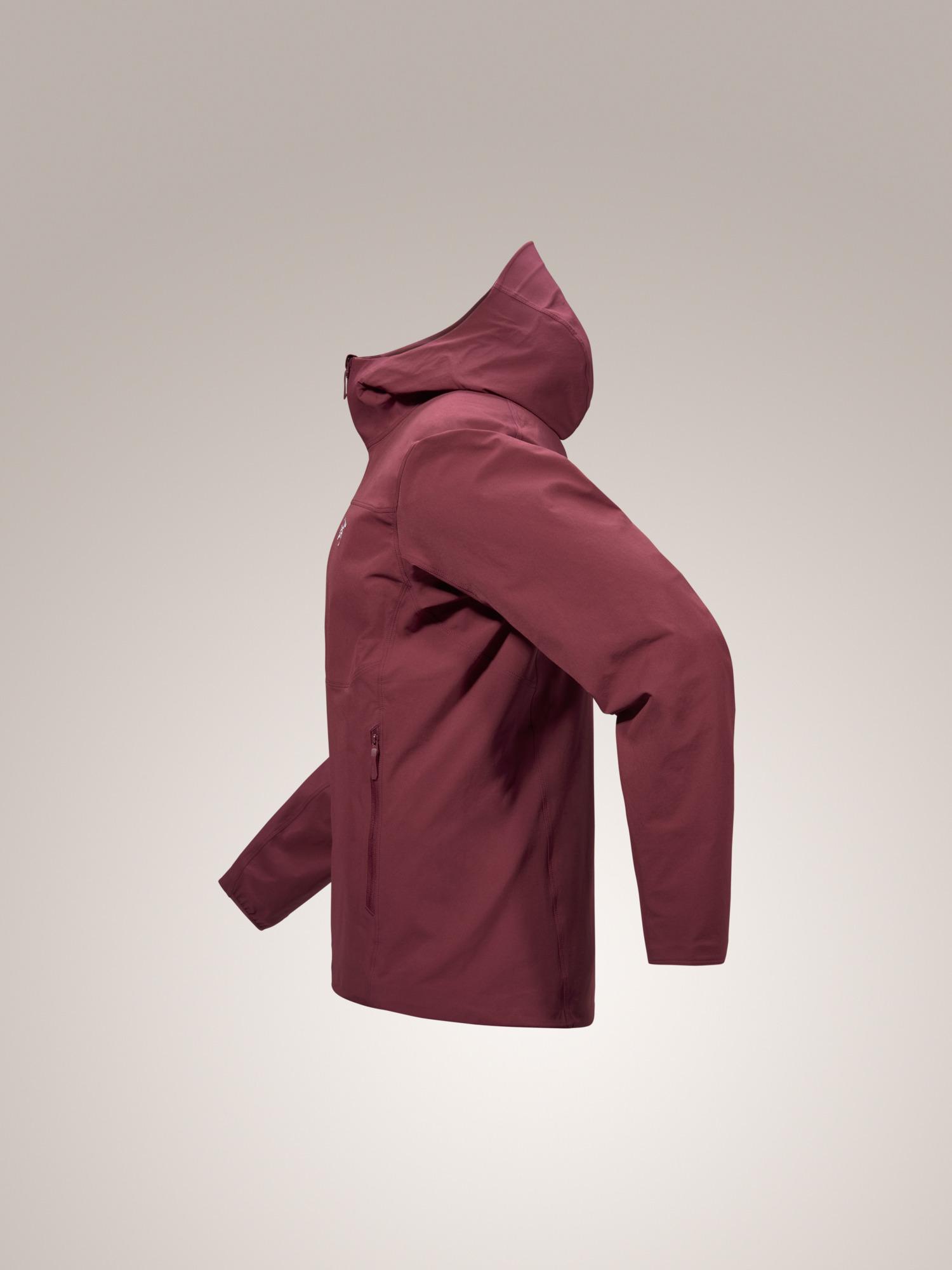 Gamma Hoody Men's Product Image