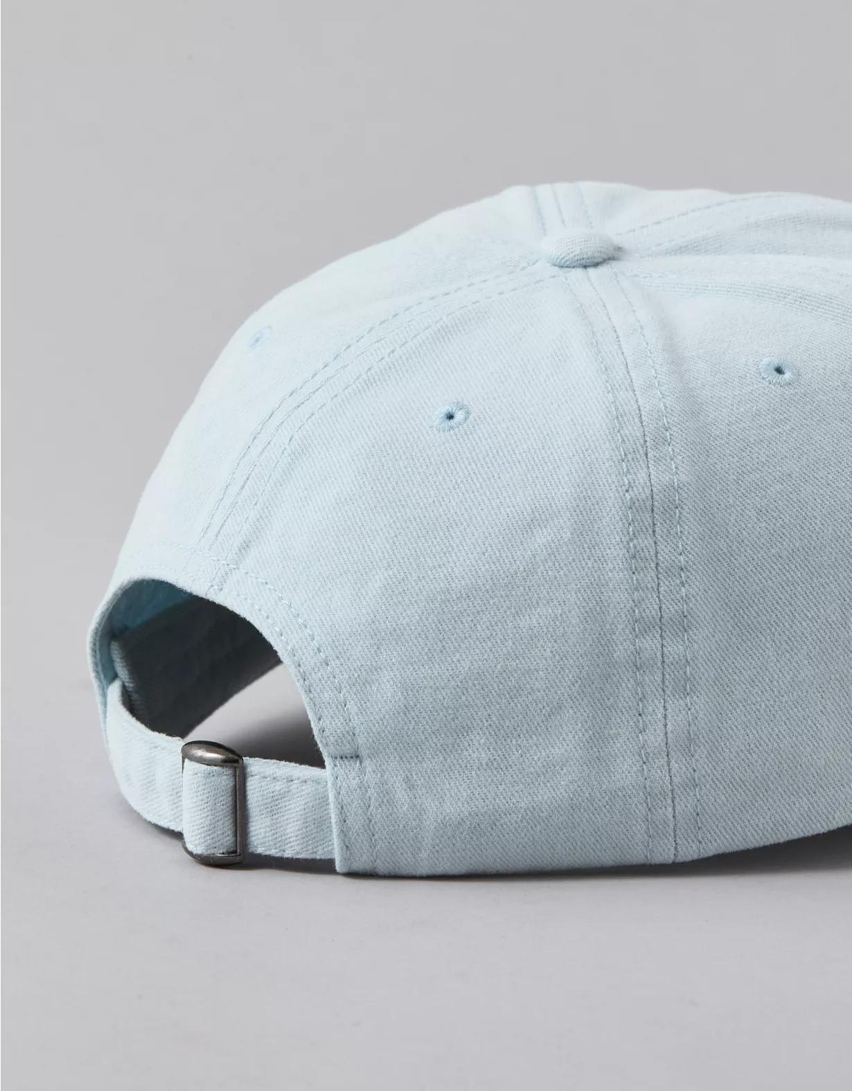 AE Eagle Baseball Hat Product Image