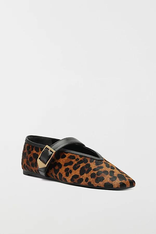 Schutz Courtney Buckle Ballet Flat Womens at Urban Outfitters Product Image