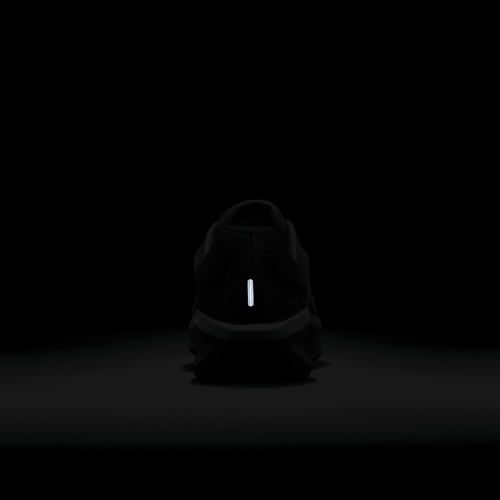 Nike Mens Winflo 11 Road Running Shoes | FJ9509-002 Product Image