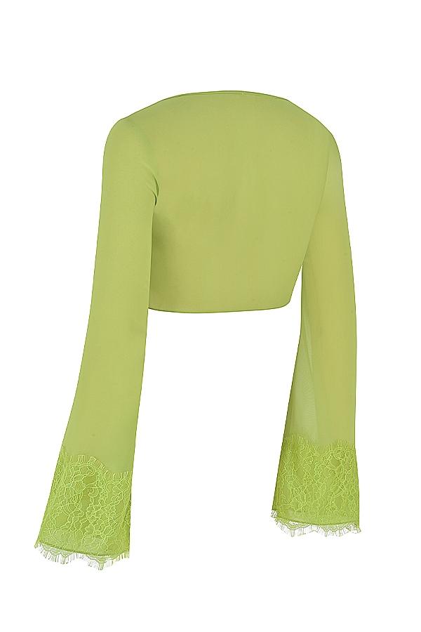 Tara  lime green georgette cropped top Product Image