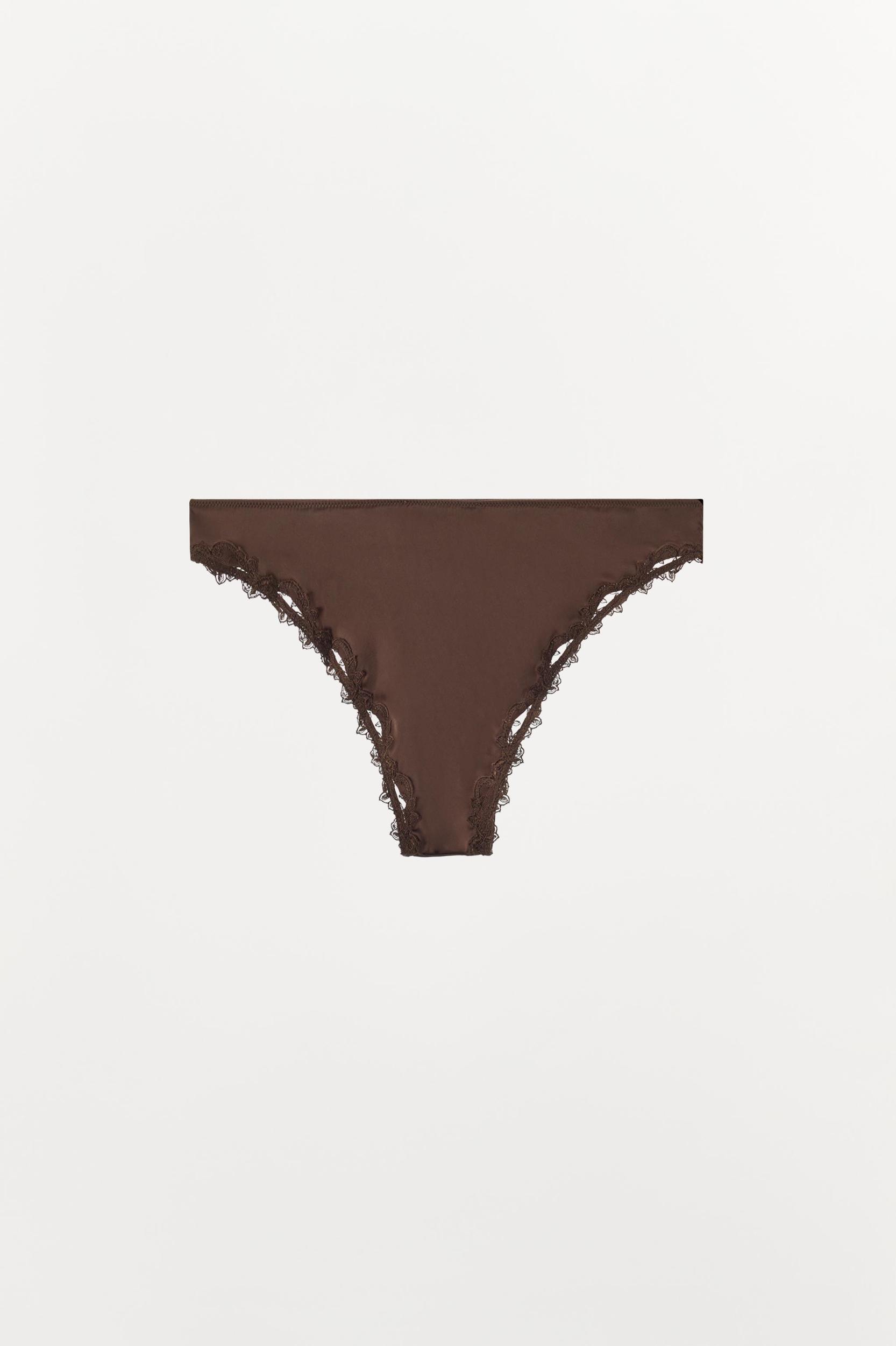 SATIN EFFECT LACE PANTIES Product Image