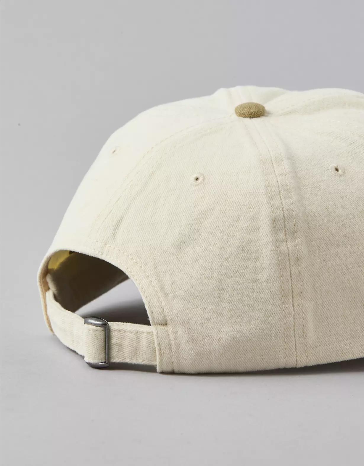 AE Eagle Baseball Hat Product Image