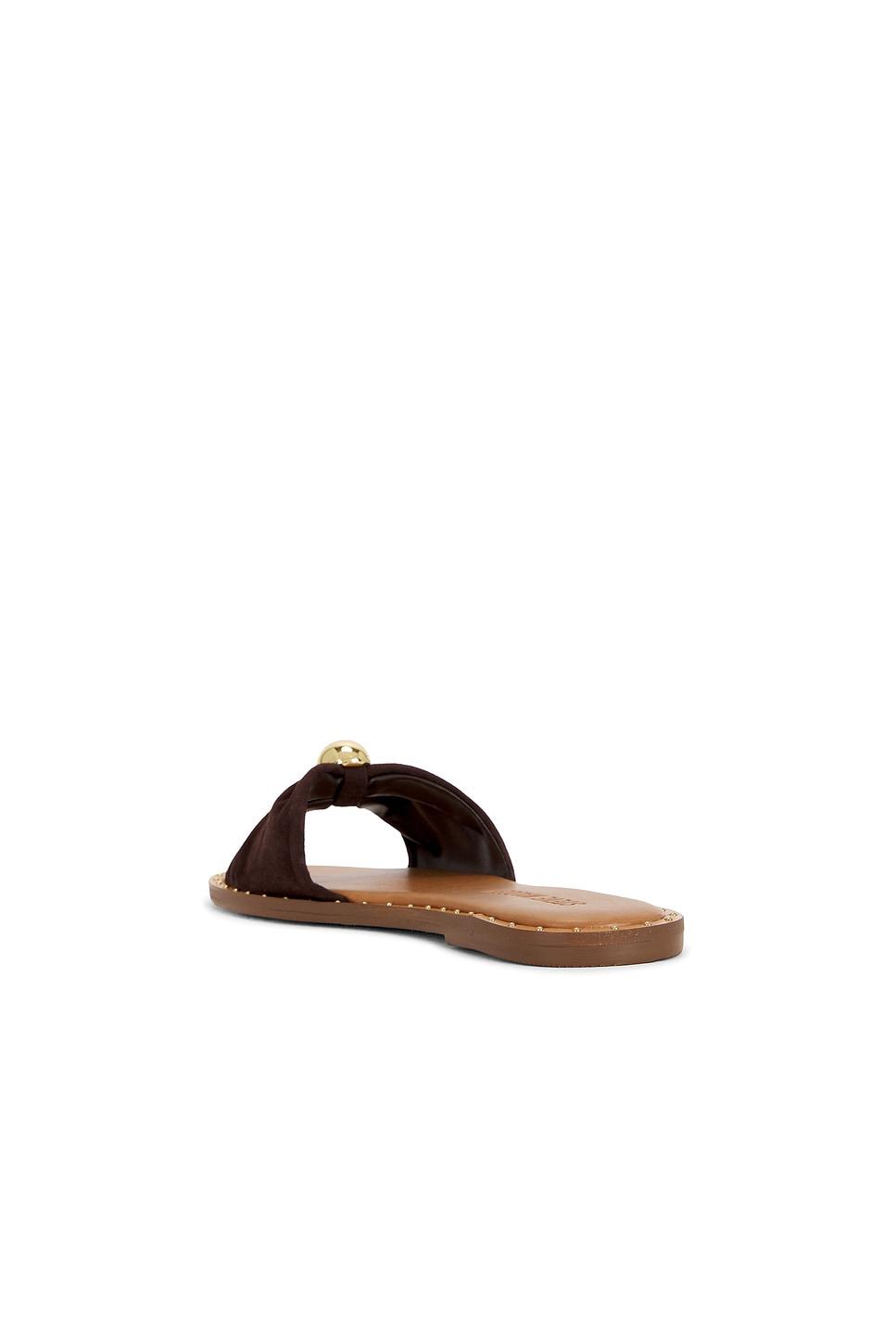 Dipsy Flat Steve Madden Product Image