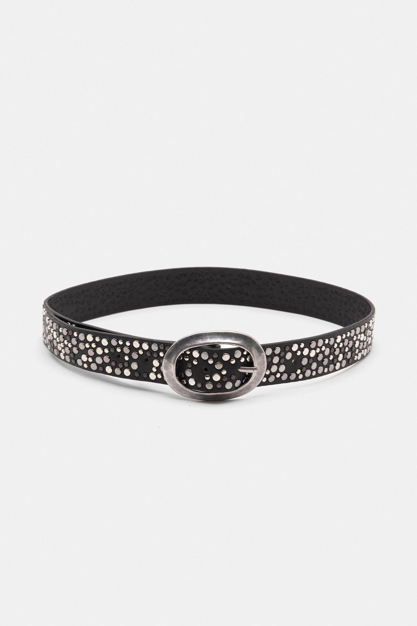 Leather effect studded belt Product Image