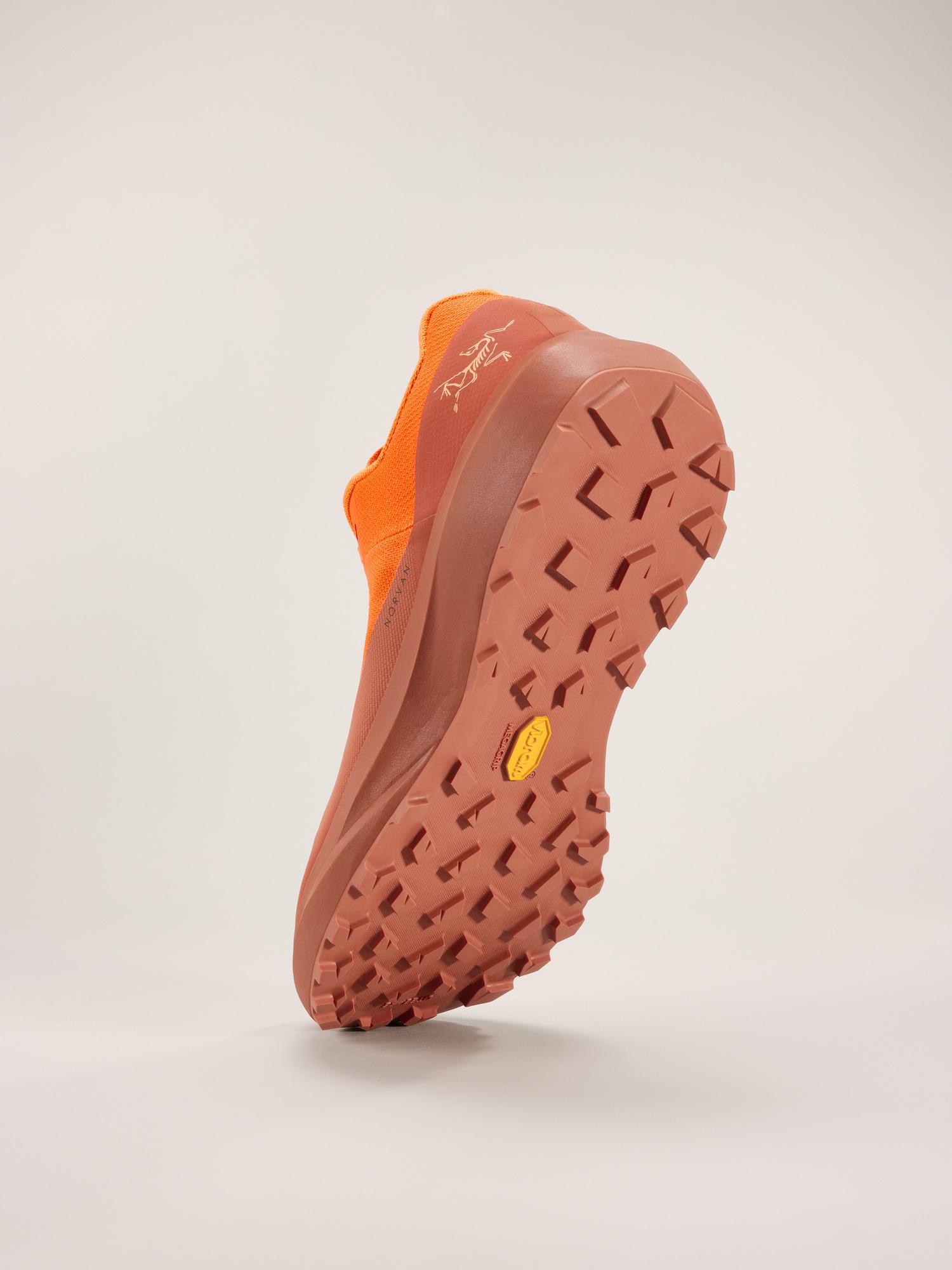 Norvan LD 4 Shoe Men's Product Image