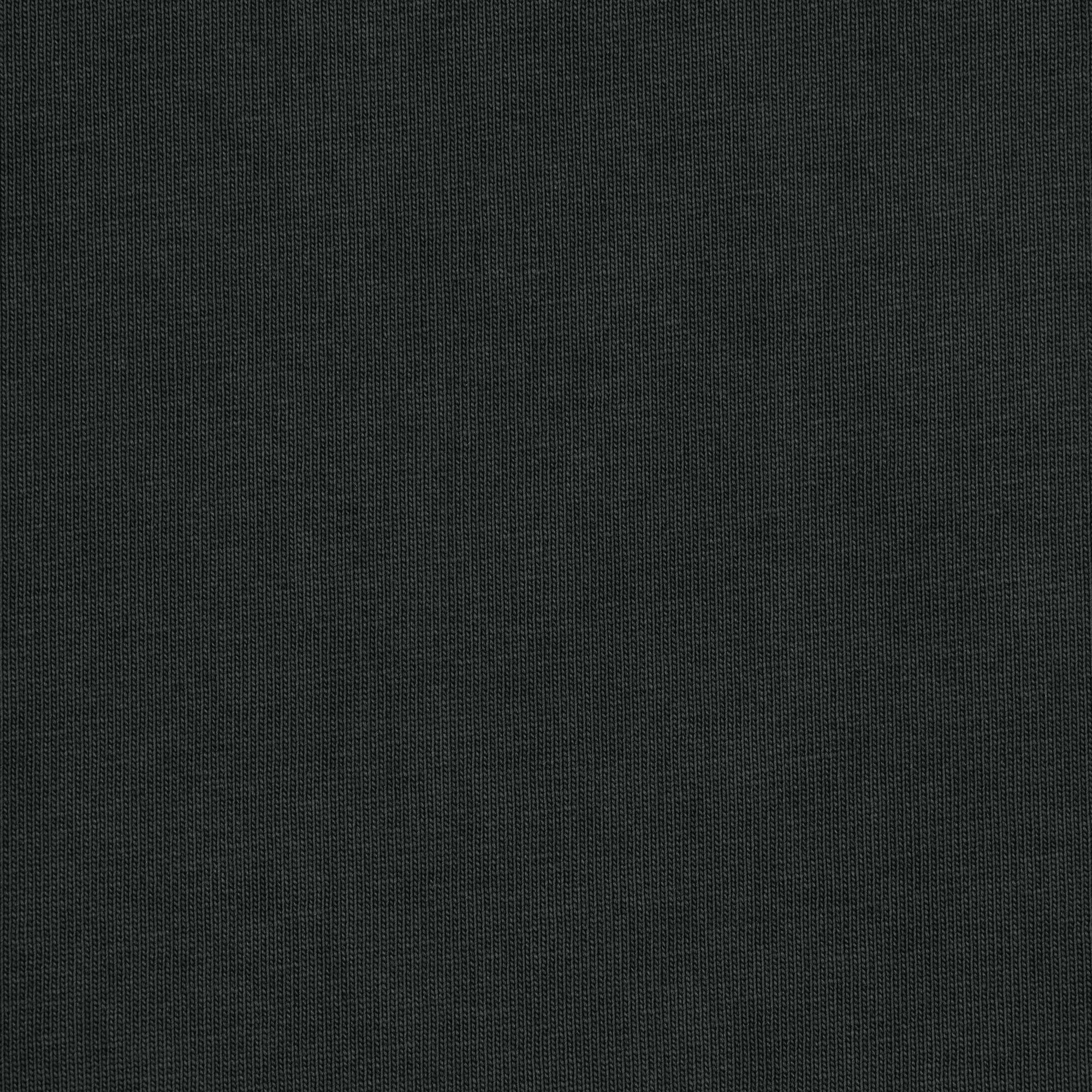 NEW VINTAGE CROPPED LONG SLEEVE T-SHIRT | WASHED ONYX Product Image