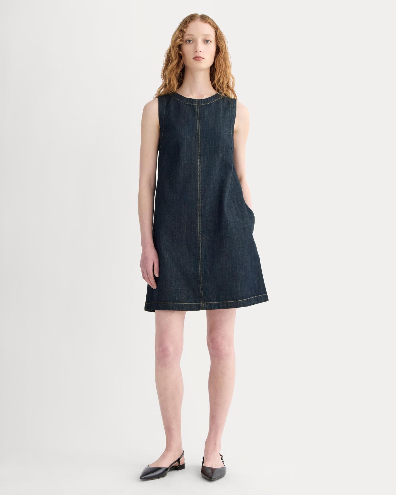 Womens Denim Shift Dress by Everlane Product Image