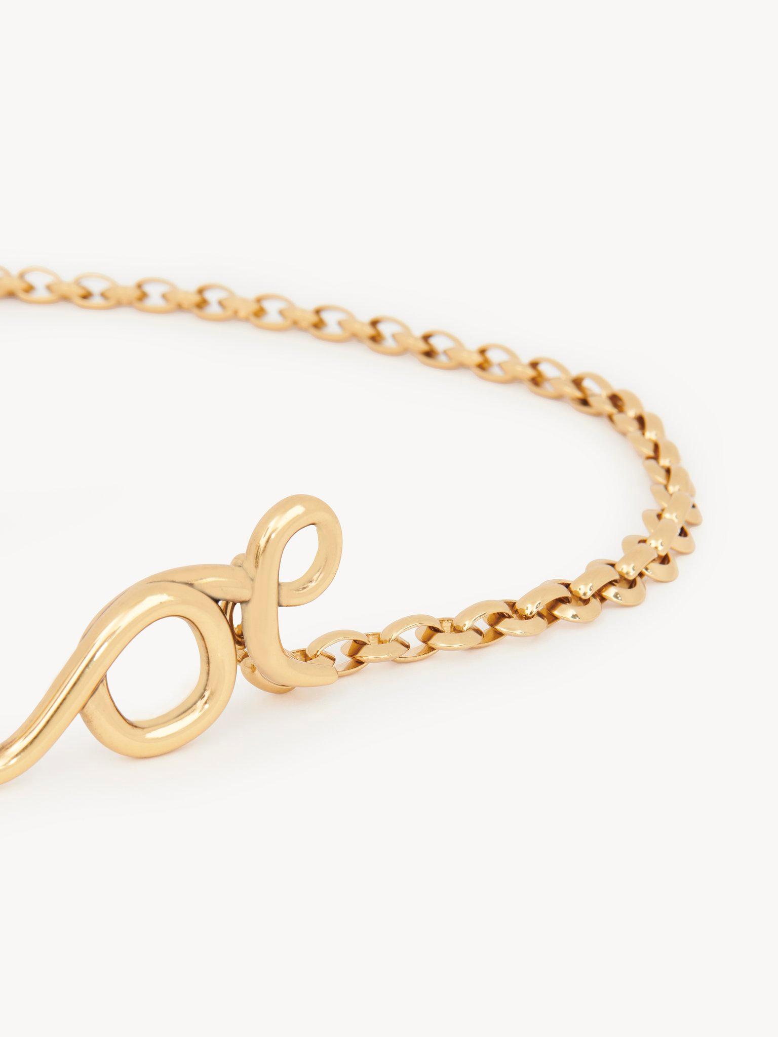 The Chloé Iconic small belt Product Image