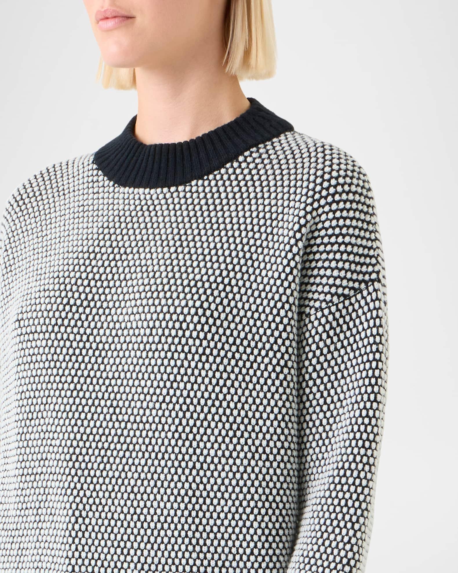 Cashmere-Wool 3D Dot Knit Crewneck Sweater Product Image