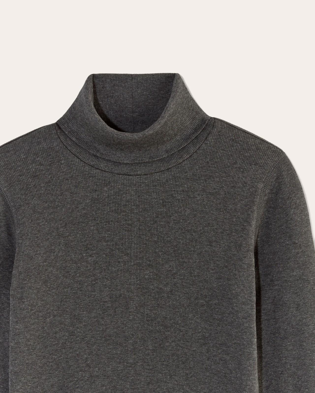 Womens Luxe Rib Turtleneck Sweater by Everlane Product Image