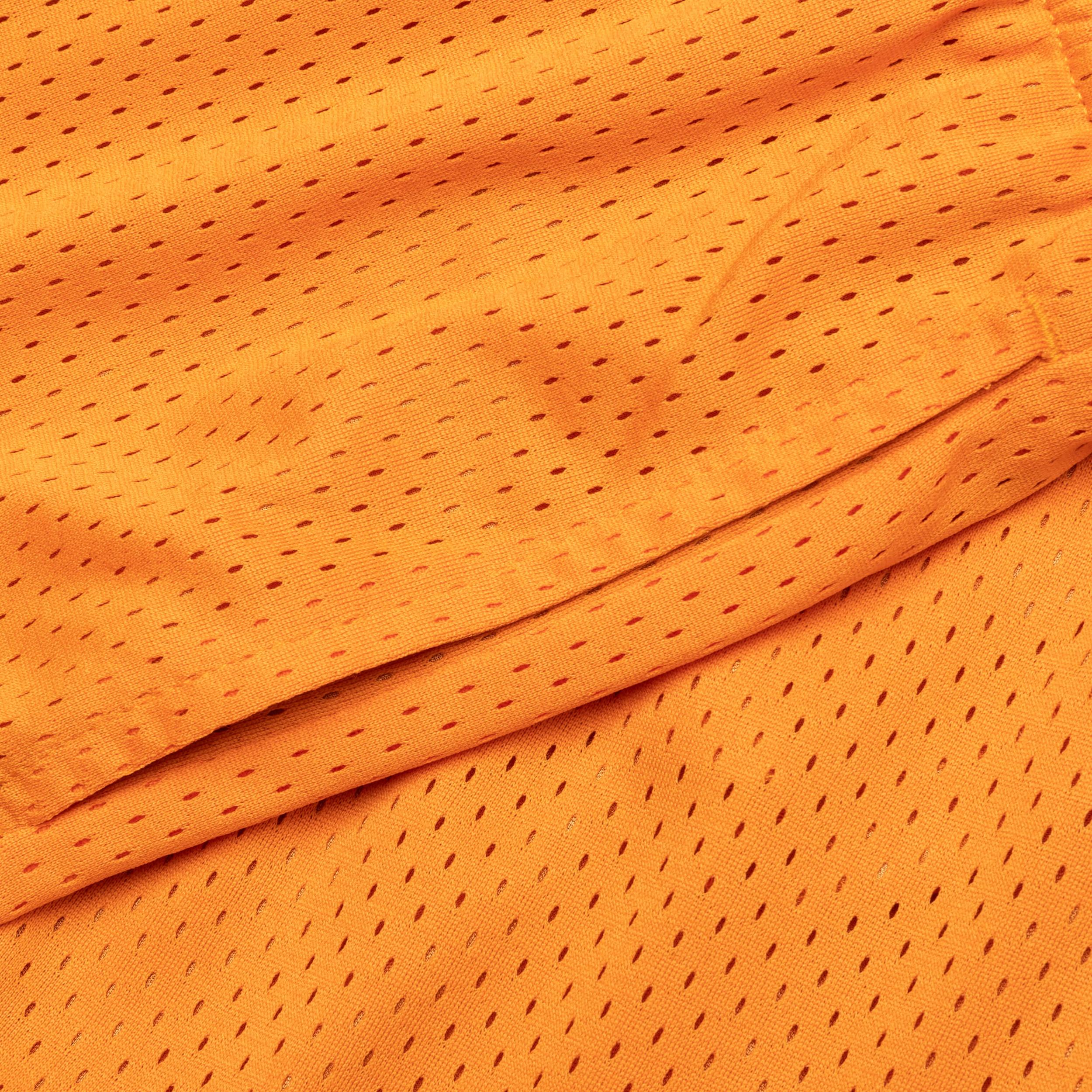 West Mesh Shorts - Crimson Male Product Image