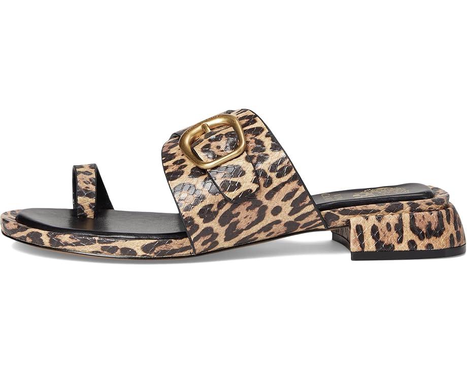 Lenni Banded Buckle Flat Sandals Product Image