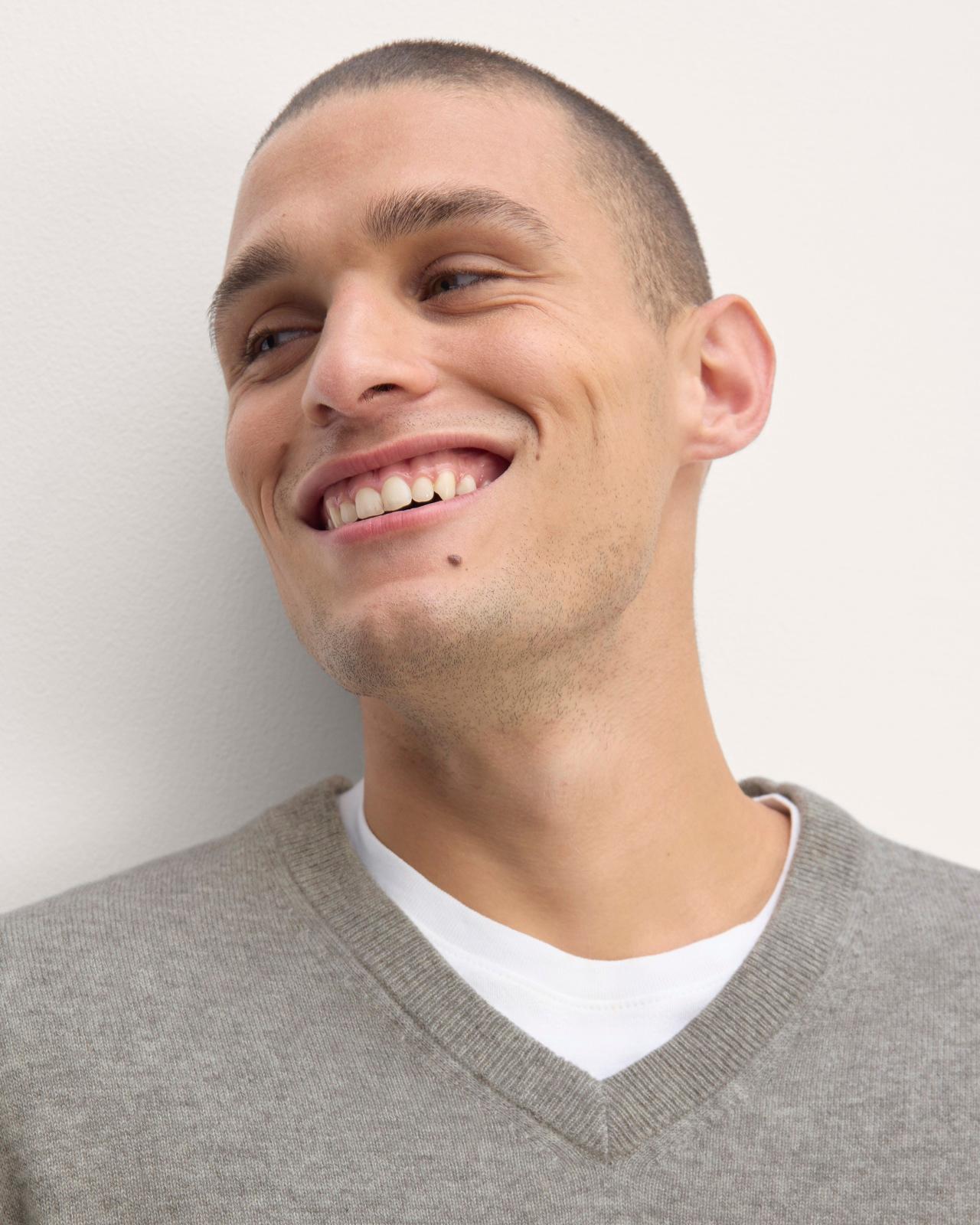 Mens Cashmere V-Neck Sweater by Everlane Product Image