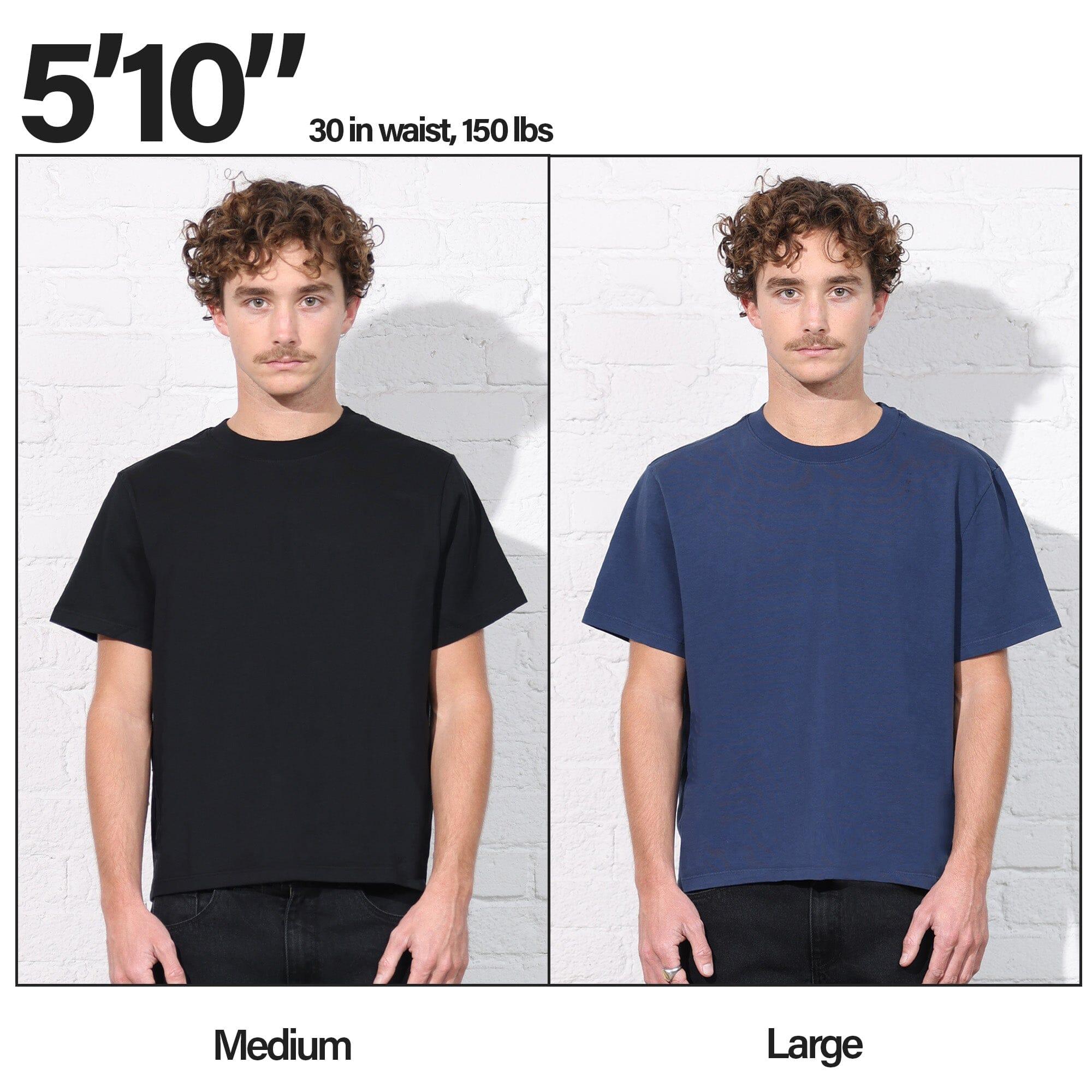 Silverlake Crop Tee II Product Image