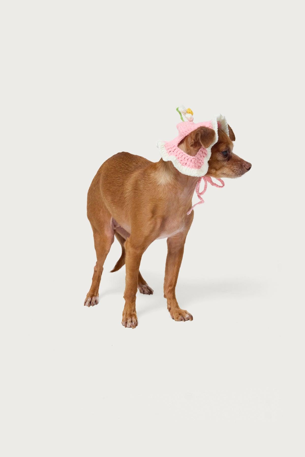 Petal Pet Crochet Hat Product Image