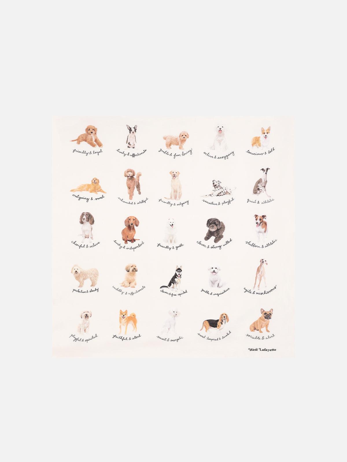 Animal Print Square Scarf Product Image