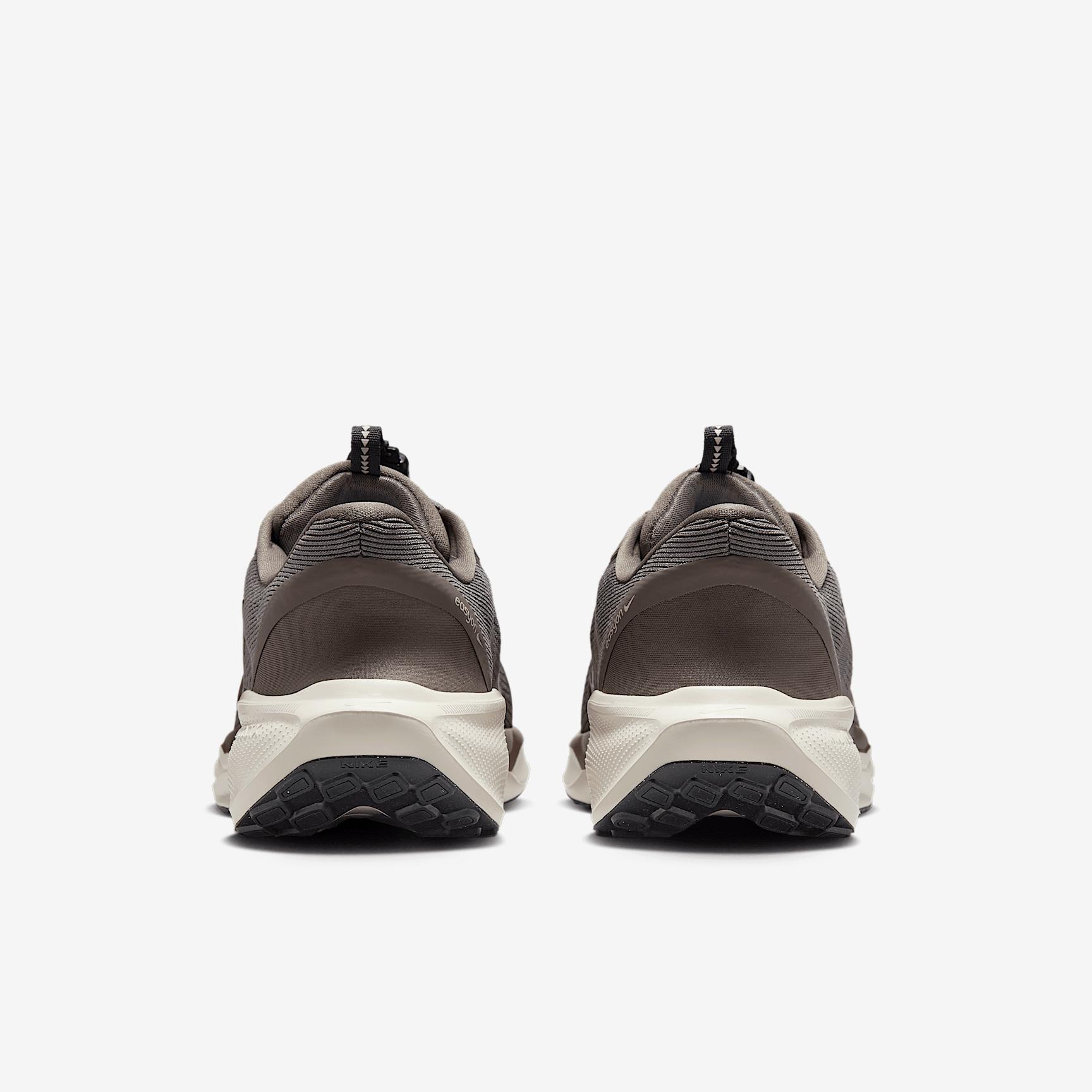 Nike Mens Pegasus EasyOn Road Running Shoes | FQ7837-103 Product Image